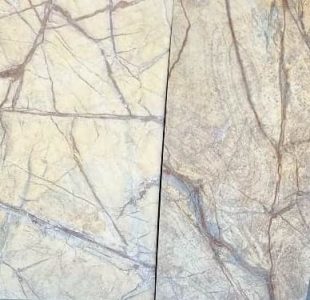 240520209520522Rain-Forest-Gold-min