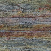 245620200916693FOREST-FIRE-min-650x650