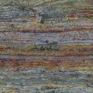 245620200916693FOREST-FIRE-min-650x650